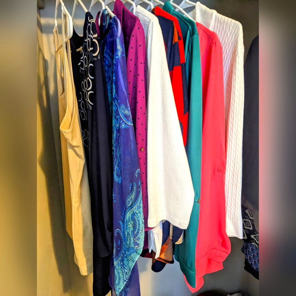 Women's Size Large Tops Lot